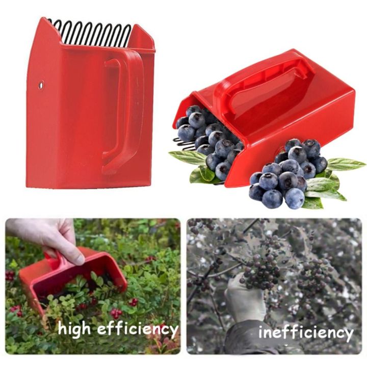 CANWU Scoop Blueberry Picker Ergonomic Handle Picking Blueberry ...