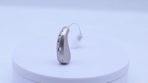Newest RIC Digital Hearing Aid Rechargeable Hearing Aids for Elderly Deafness Sound Amplifier Invisible Ear Aids Drop Shipping