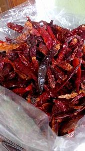 MURAH CABE/CENGEK JAPLAK KERING ( 1KG ) TANPA TANGKAI CABE PEDAS
