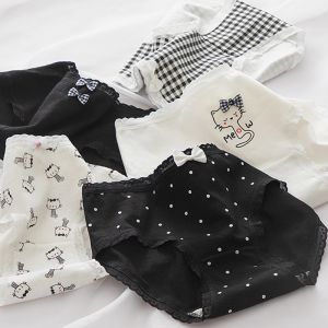 Combo 10 Quần Chip Bé Gái Hoạ Tiết Mèo Xinh Xắn Cotton Cao Cấp Thoáng Mát Mềm Mại Thấm Hút Tốt Quần Cute CTB11