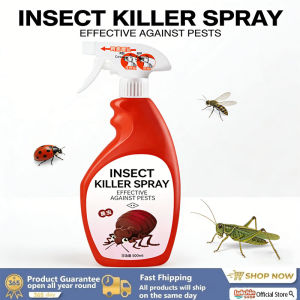 Bed Bug Spray 500ML 100% pest elimination Medicine Bedbug Killer Spray Insecticide Medicine Bedbug Killer Spray