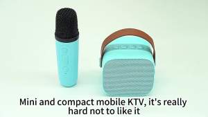 Portable Bluetooth Karaoke Machine with Wireless Mic - 20W HD Sound for Kids & Adults 12H Playtime IPX5 Waterproof RGB Lights (Home/Outdoor Party)