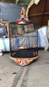 Sangkar muraisangkar bulatsangkar ukir