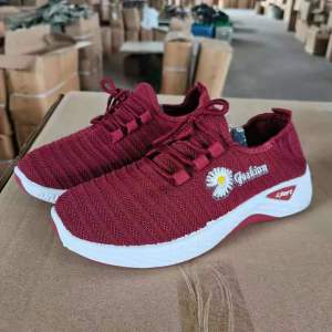 Free Shipping Little Daisy Walking White Canvas Shoes WomenS Autumn New Casual Sneakers For Street Vending
