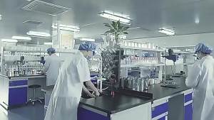 强劲红桃/K生血剂口服液孕妇成人老年人改善贫血补铁补气血二合一