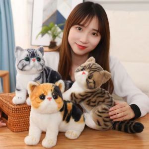 Stuffed Cat Plush Soft Toy Simulation American Lifelike Shorthair Doll Pet Home Decor Gift Kids Girls Birthday 猫咪娃娃生日礼物