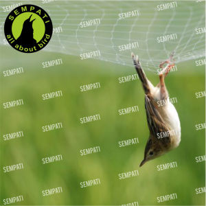 [COD] JARING PADI UKURAN LUBANG 175x44Mx90M / JARING SAWAH / JARING BURUNG EMPRIT / JARING IKAN SENAR 015MM PREMIUM