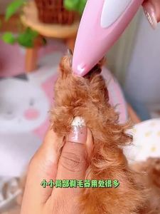 AUgrooming clippers hair trimmers for cats and dogs pet grooming tools electric clippers with a light