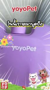 Ice Brick ไอซ์แพค 260/460/660ml เก็บความเย็น ไม่ต้องเติมน้ำ เจลเก็บความเย็น น้ำแข็งเทียม