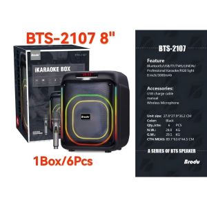 BTS 2173 8X2 inch Wireless karaoke Subwoofer Bluetooth Speaker with Rechargeable Wireless Mic