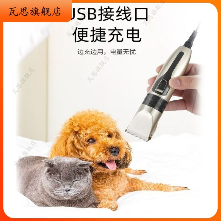 Goldenhaired big dog shaver gives dogs electric clippers, pets push