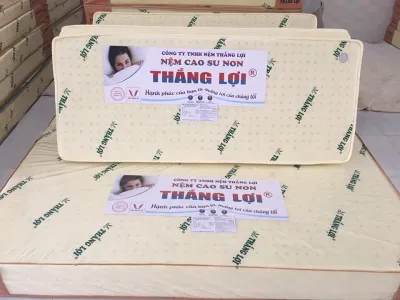 Nệm cao su non Thắng Lợi gấp 3-Hàng chính hãng- bảo hành 15 năm