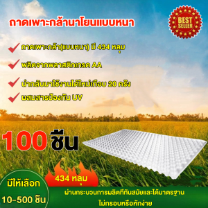 ถาดเพาะกล้านาโยน (แบบหนา) มี 434 หลุม มีให้เลือก 1-500 ชิ้น ผสมสารป้องกัน UV ถาดเพาะนาโยน ผลิตจากพลาสติกคุณภาพดี ที่มีความแข็งแรงทนทานสูง（น้ําหนักชิ้นเดียว 60g）