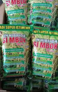 5KG LEBIH HEMAT!!!  Benih padi simbok super 5 kg mentes unggul varietas padi unggul