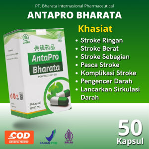 Obat Stroke Pasca Stroke Komplikasi Stroke Pengencer Darah Herbal Antapro Bharata 100% Asli