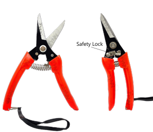 [SG STOCK] GARDEN SHEAR 702 SUPER ACTION Straight Tree Plant Cutting Saw Scissor Anti-Rust Hand Pruner Cutter