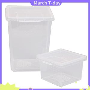 March พลาสติกแมลงแมงมุมที่อยู่อาศัยกล่องให้อาหารกรณีภาชนะถังขนส่งกรณีของเล่น