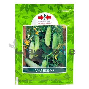 Benih Timun Mentimun VANESA Isi 20 gram Cap Panah Merah