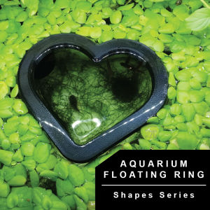 🇸🇬 Fish Tank Floating Ring (Shape Series) - 🐠 3D Printed Aquarium Accessories That Suit Your Needs