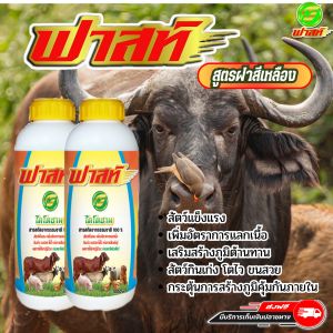 บำรุงระบบสืบพันธุ์ เสริมสร้างภูมิคุ้มกันให้สัตว์ สัตว์แข็งแรงโตไวสมบูรณ์ ฟาสท์ริช168 ฟาสท์ไคโตซาน ฝาสีเหลือง2ขวด ไคโตซานสัตว์ อาหารผสมบำรุงสัตว์