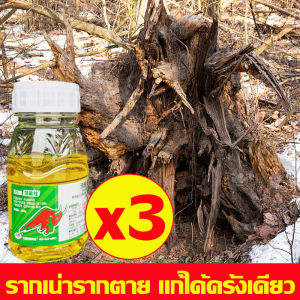 ตรงไปที่ราก รากไม้เน่า1000% ยาฆ่าตอไม้ กำจัดต้นไม้+รากเน่า ยาฆ่าต้นไม้ ไม่ต้องใช้แรงงานคน ล้มเอง ฆ่าตอไม้ ไม่เป็นอันตรายต่อดิน สารกำจัดตอไม้ ผงฆ่าต้นไม้ ยาฆ่าตอต้นไม้ ทำลายตอไม้ จำกัดตอไม้ ยาฆ่าไม้ไผ่ กำจัดวัชพืช