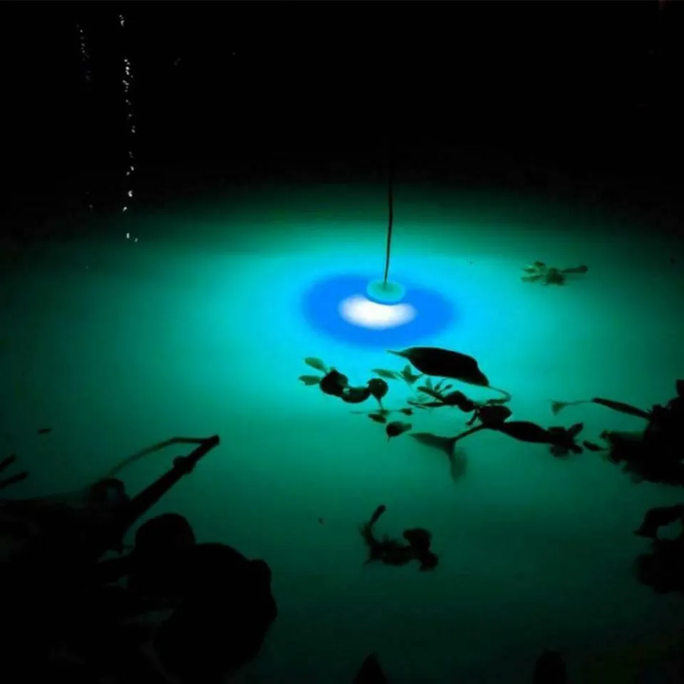 Ranpo Deep Drop Under Water Lamp Fish Lure Light Green Red