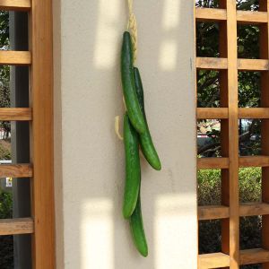 NCNC Plastic Home Plants Fruit Chili skewers Pepper Decoration Wall Decor Simulation Food Artificial Vegetables Fake Vegetables