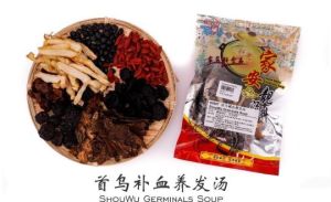 首乌补血养发汤 ShouWu Germinals Soup