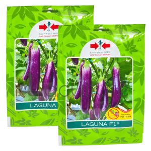 Benih Terong Ungu LAGUNA F1 Isi 400 Butir Cap Panah Merah