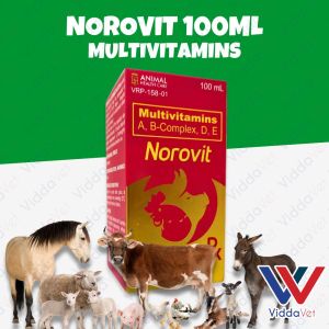 Norovit 100ml - Essential Vitamins for Growth and Development of Animals