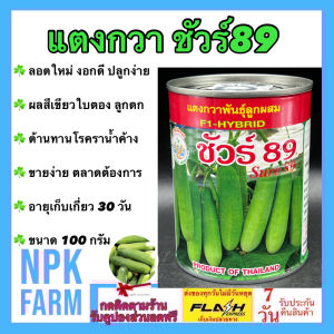แตงกวา ชัวร์ 89 หมดอายุ 12/2569 ขนาด 100 กรัม งอกดี ผลสีเขียวใบตอง ลูกดก เนื้อแน่น ต้านทานโรคราน้ำค้าง ผลยาว 12-13 ซม. อายุ 30-32 วัน