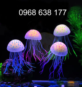 Sứa Mặt Trăng Dạ Quang Size Lớn - Trang Trí Hồ Cá - Phụ kiện hồ cá hồ thủy sinh