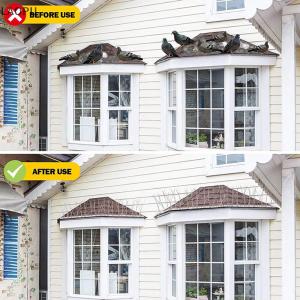 🎉【Low price】🎉LAOPU Stainless Steel Pigeon Spikes Bird Repeller Deterrent Traps Anti-bird Repellent Pest Control Garden Balcony Thorn Nail Kit