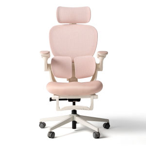 Hinomi Q2 Ergonomic Chair with Memory Foam Free Footrest Office Chair with Adjustable Lumbar Support Headrest Armrest