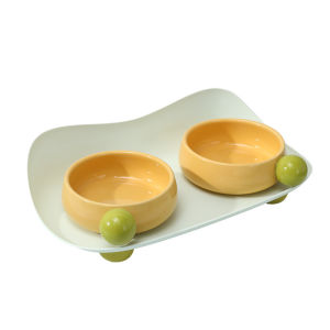 SOAR Ceramic Double Cat Bowl – Hygienic Anti-Spill and Elevated for Neck Protection