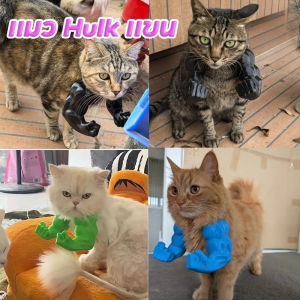 BHQ PET  แมว Hulk แขน Cat คอสเพลย์กล้ามเนื้อแขน 3D พิมพ์ เครื่องแต่งกายแมว ของเล่นสัตว์เลี้ยงโต้ตอบ Props ลูกแมว