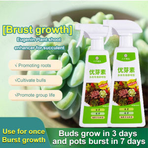 [Brust Growth] Syringin plant bud enhancer for succulent plants to accelerate bud and leaf growth