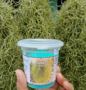 ปุ๋ยเคราฤาษี กล้วยไม้ ไม้ดอก ไม้ประดับ ละลายน้ํา บํารุงต้น ใบ ดอก