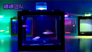 SK908-SS1398 RM1x 1 0.5KG 0.5KG 14cm 12cm 9cm