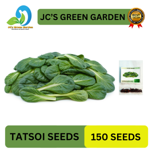 (150 SEEDS) TATSOI - GREEN ROSETTE BOKCHOY/EASY TO GROW/EASY TO PLANT/HYBRID/FOR FARM AND GARDEN