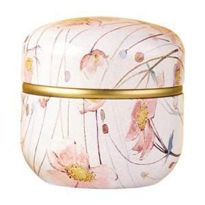 Modern Teas Canister With Tight Lid For Dry Use Sealed Container Kitchen Storage Tin for Candy Use