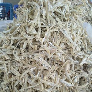 ikan asin teri jengki belah 1 kg murah