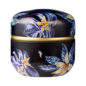 Modern Teas Canister With Tight Lid For Dry Use Sealed Container Kitchen Storage Tin for Candy Use