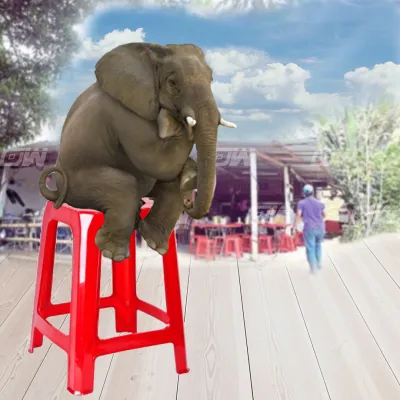 3V Strong Plastic Stool Chair (10 Units)