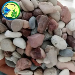 BATU HIAS PANCAWARNA 5 KG  DEKORASI AQUARIUM