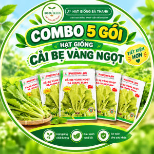 [EcoSeeds] Combo Tiết Kiệm 5 Gói Hạt Giống Cải Bẹ Vàng Ngọt Hà Giang - Cao Sản Chịu Nhiệt Cây To Lá Đẹp - Gói 20g