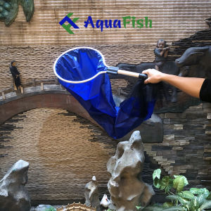 Vợt Không Đáy (dùng bắt cá Koi cá Rồng size lớn)