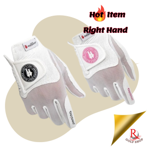 Royal Golf Shop summer golf gloves for man Right hand cool golf gloves from korea