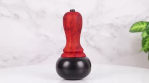 Electric Heating Bian Stone Gua Sha Massager Hot Compress Body Physiotpy Tool Back Face Massage Warm Moxibustion Guasha Tool