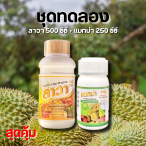ชุดทดลอง แมกม่า250ซีซี 1 ขวด + ลาวา500ซีซี 1 ขวด สารจับใบ เสริมประสิทธิภาพเข้มข้น มาพร้อมกับ ปุ๋ยน้ำทางใบ ธาตุอาหารรอง+เสริม ครบถ้วน ช่วยให้พืชโตเร็ว